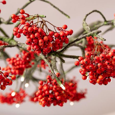 Herbarium Boutique Hotel オロモウツ エクステリア 写真