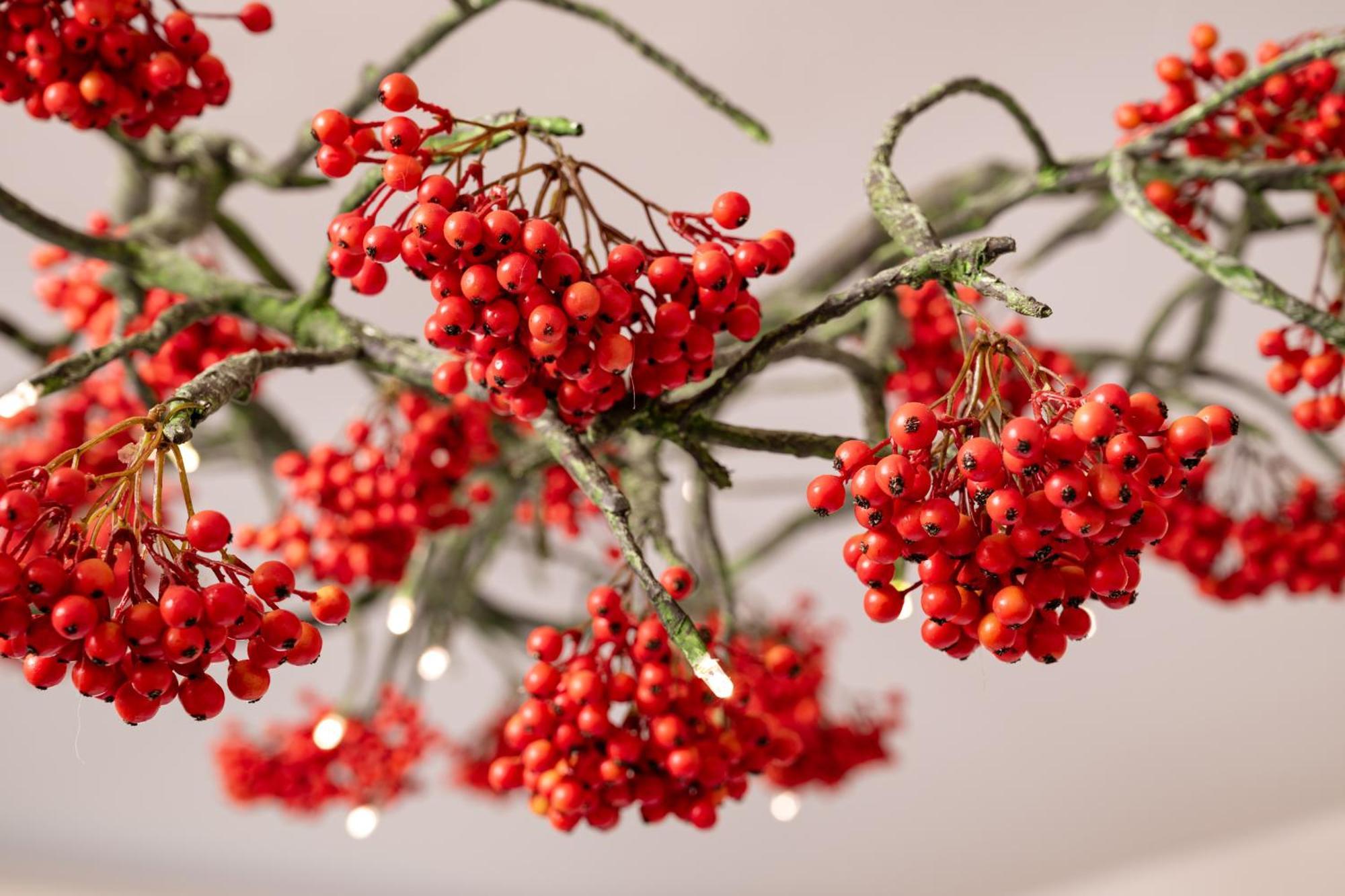 Herbarium Boutique Hotel オロモウツ エクステリア 写真